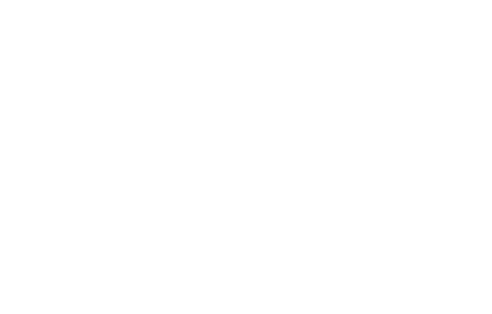 UNDP